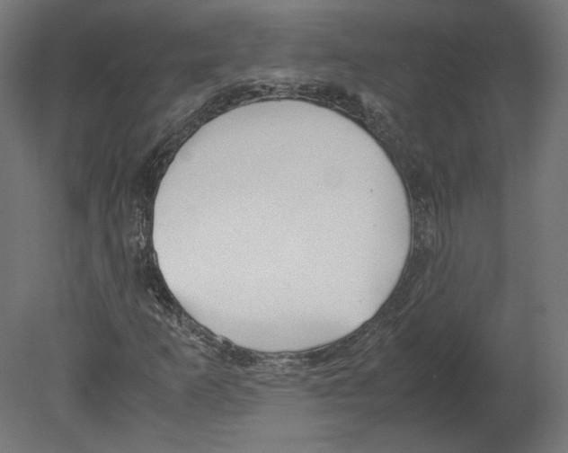 X0000080701253200701121742