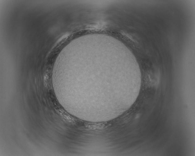 X0000080701254200701121742