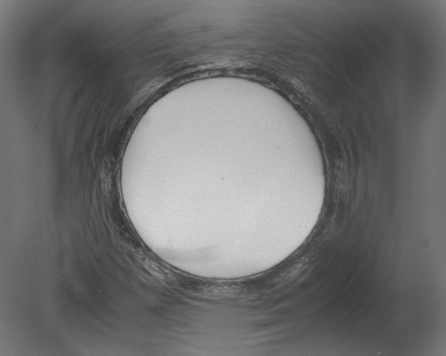 X0000080701257200701121742