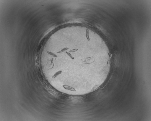 X0000080701258200701121742