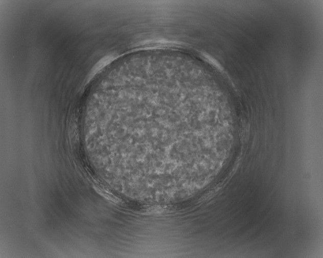 X0000080701259200701121742