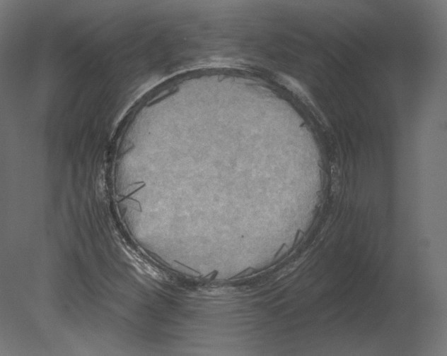 X0000080701260200701121742
