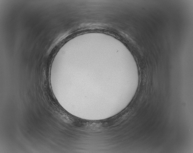 X0000080701261200701121742