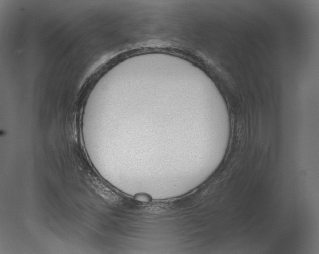 X0000080701262200701121742