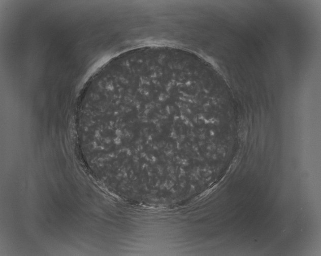 X0000080701263200701121742