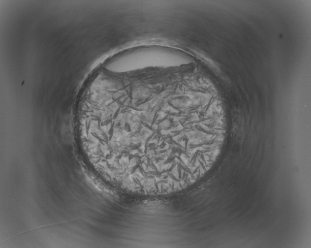 X0000080701264200701121742
