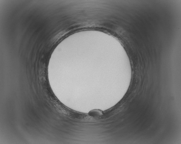 X0000080701265200701121742