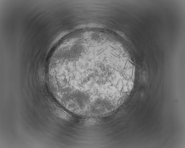 X0000080701266200701121742