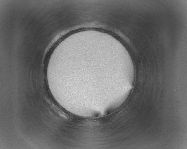 X0000080701270200701121742