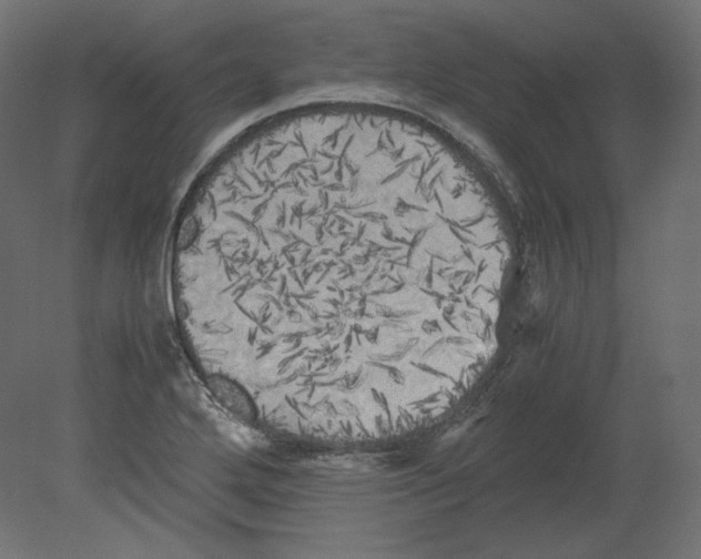 X0000080701272200701121742