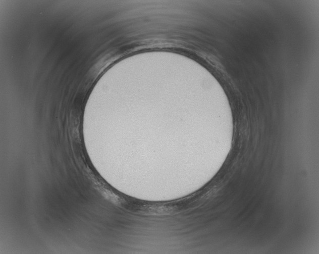 X0000080701273200701121742