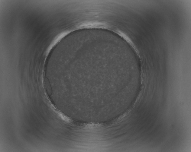 X0000080701277200701121742