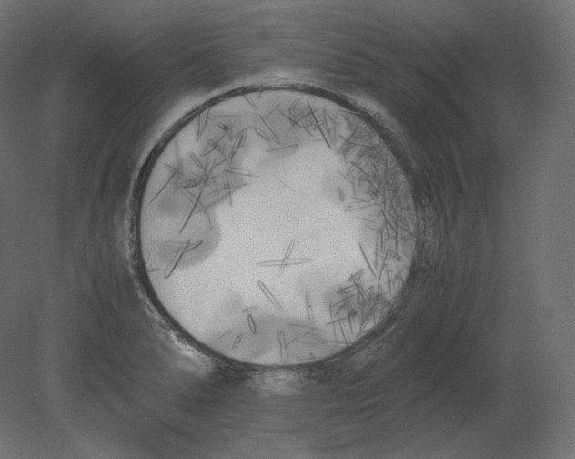 X0000080701278200701121742