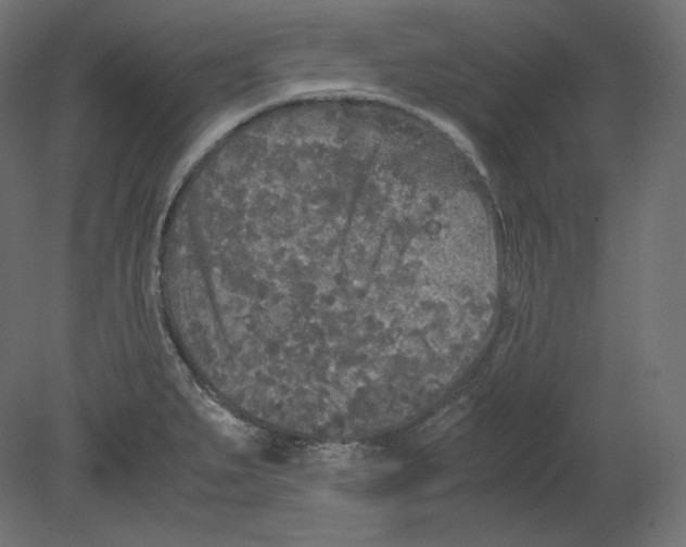 X0000080701279200701121742