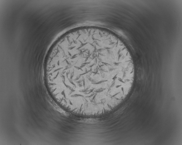 X0000080701280200701121742