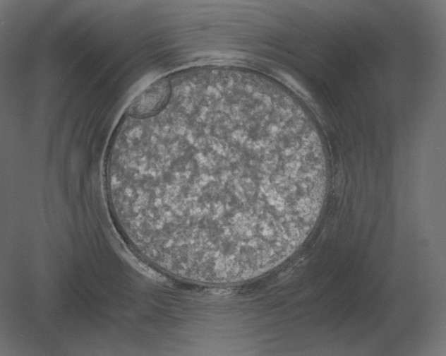 X0000080701283200701121741