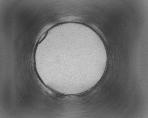 X0000080701285200701121741