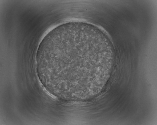 X0000080701287200701121741