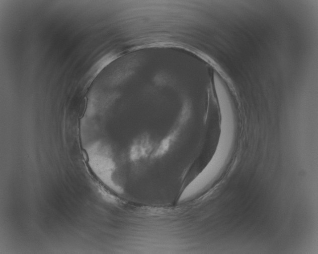 X0000080701289200701121741