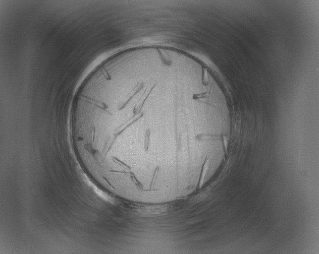 X0000080701294200701121741