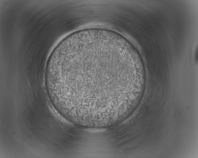 X0000080701296200701121741
