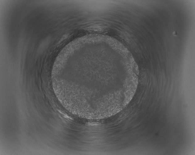 X0000080701297200701121740