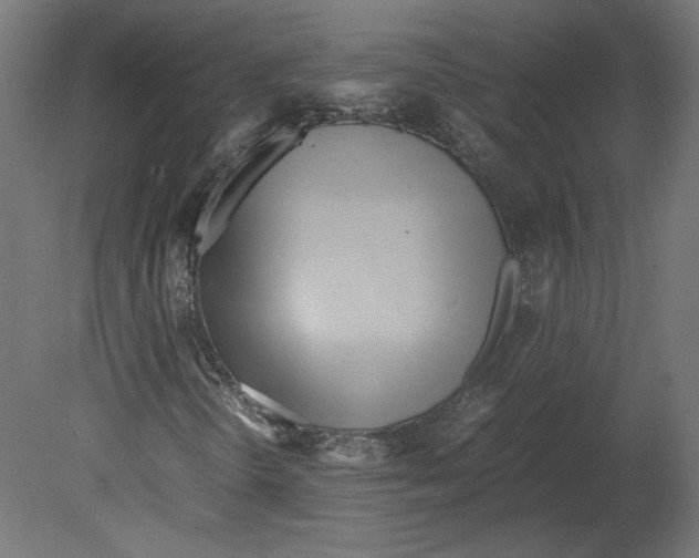 X0000080701298200701121740