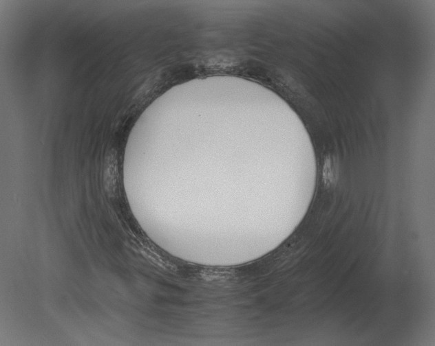 X0000080701299200701121740