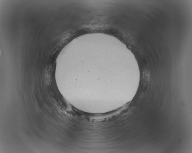 X0000080701300200701121740