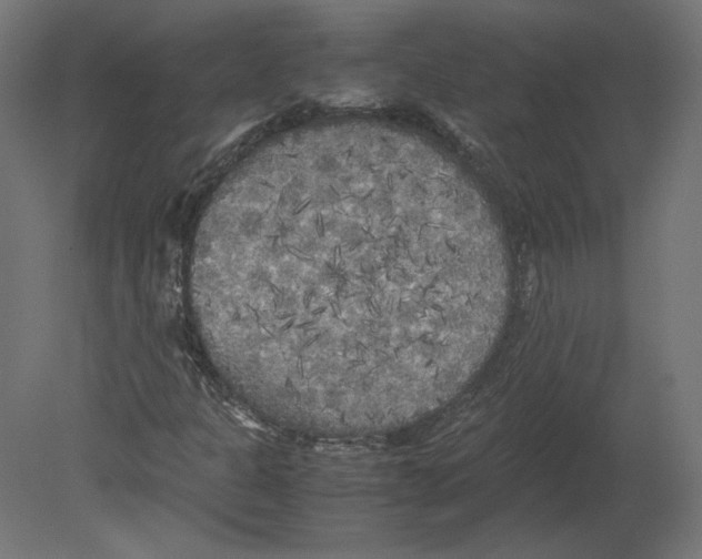 X0000080701301200701121740