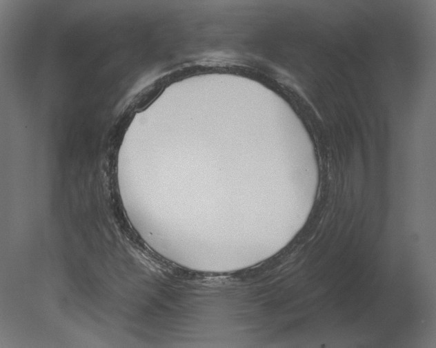 X0000080701304200701121741