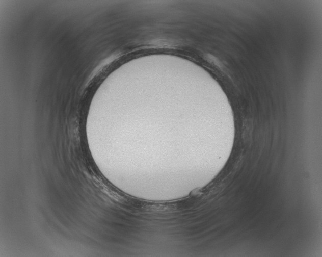 X0000080701307200701121741