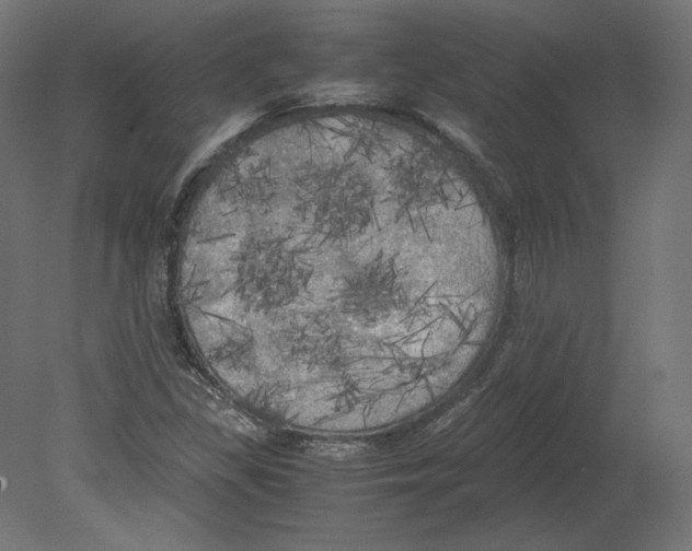 X0000080701309200701121741