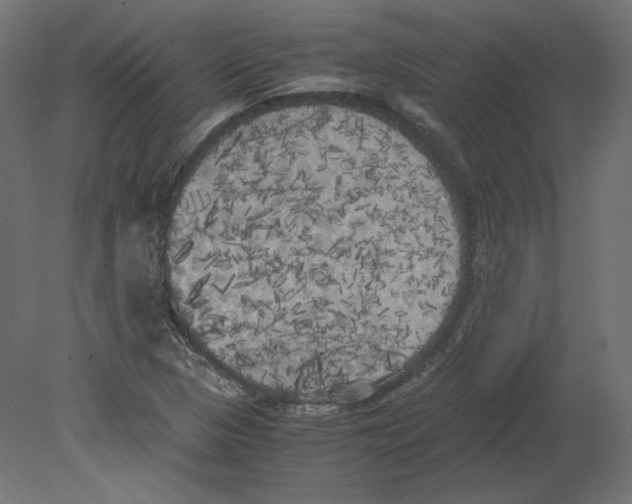 X0000080701313200701121741