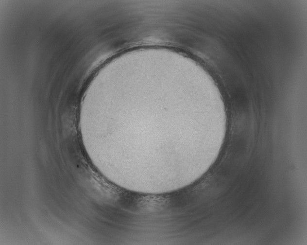 X0000080701314200701121741