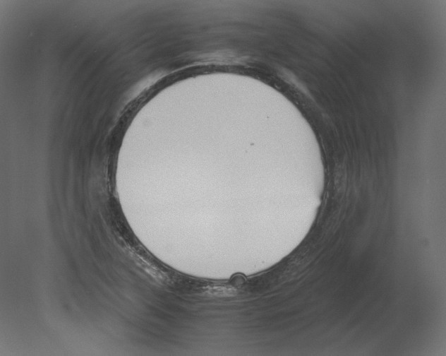 X0000080701315200701121741