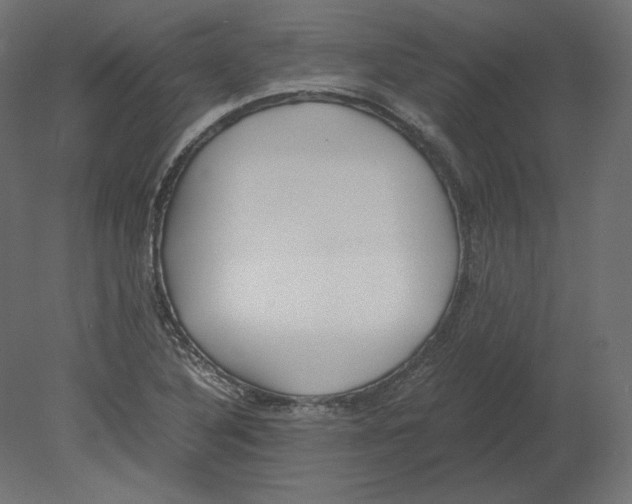 X0000080701316200701121741