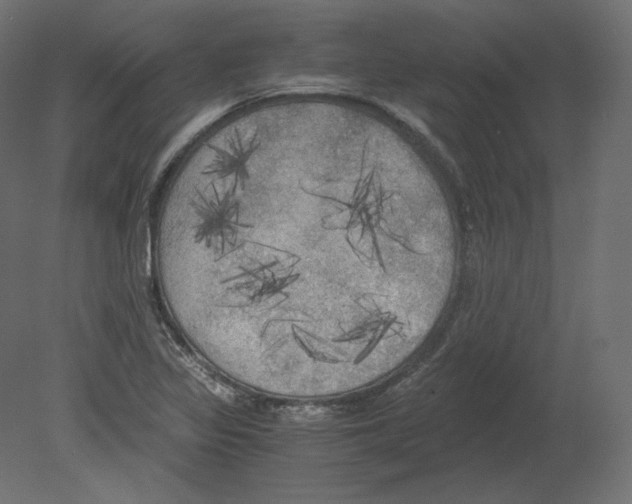 X0000080701317200701121741