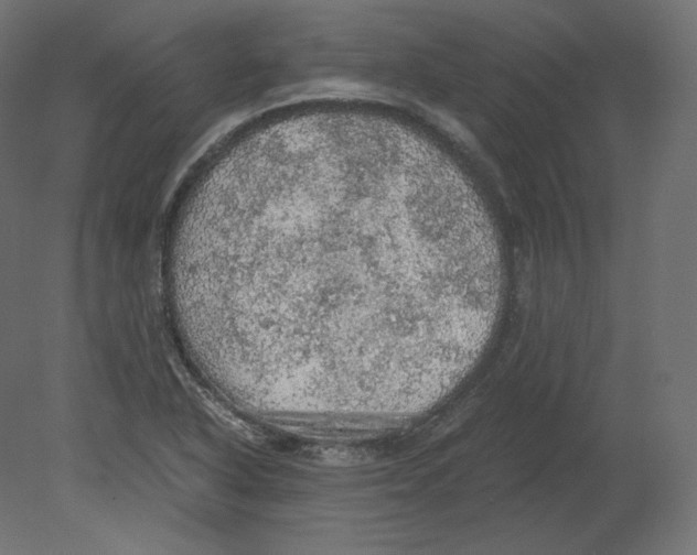 X0000080701318200701121741