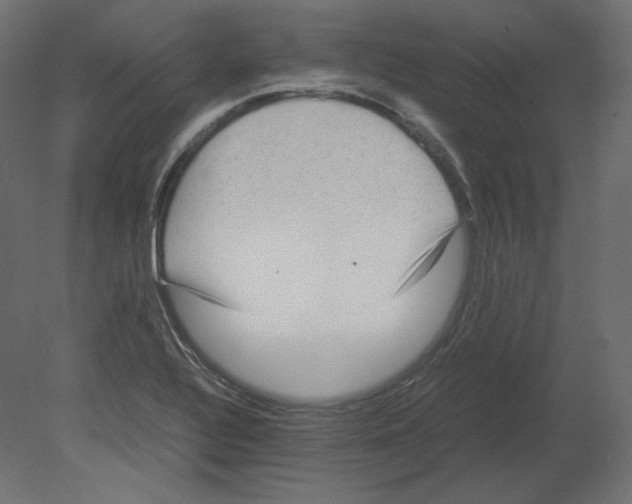X0000080701320200701121741