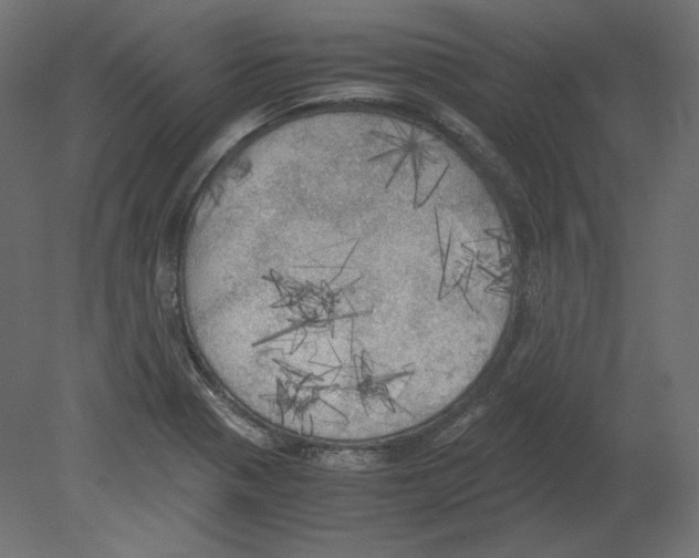 X0000080701321200701121741