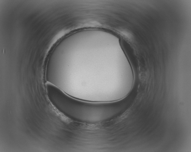 X0000080701326200701121741