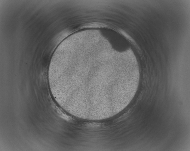 X0000080701329200701121741
