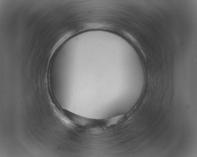 X0000080701330200701121741