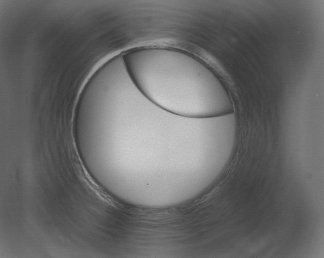 X0000080701332200701121741