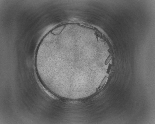 X0000080701333200701121741