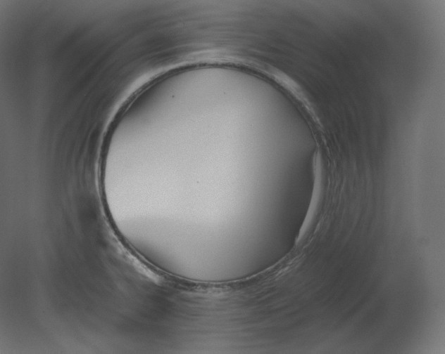 X0000080701334200701121741