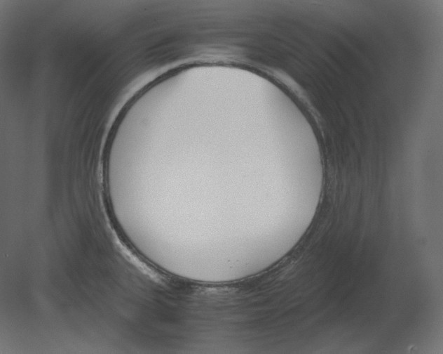 X0000080701335200701121741