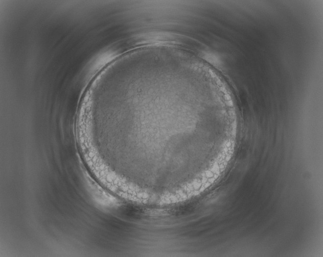 X0000080701338200701121741