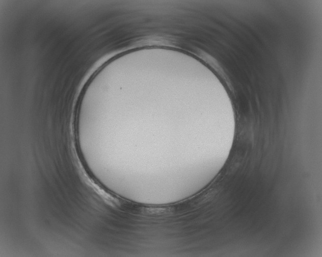 X0000080701339200701121741